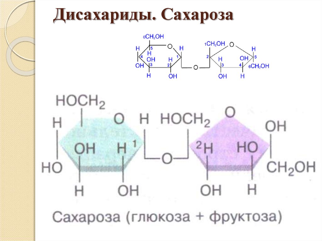 Какие углеводы называют дисахаридами. Сахароза Геншин. Дисахарид сахароза формула. Дисахариды мальтоза лактоза сахароза. Сахароза представитель дисахаридов.