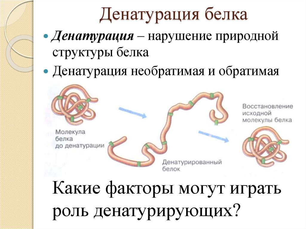 Нарушение состава белков