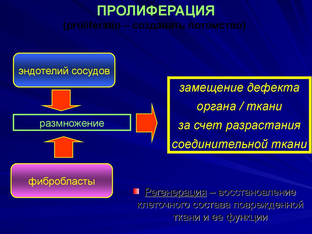 Острое воспаление патогенез