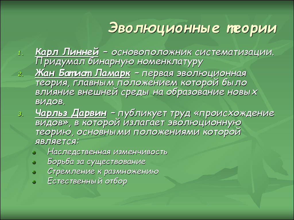 Эволюционная теория. Эволюционное учение. Теория Линнея. Эволюционное учение Линнея.