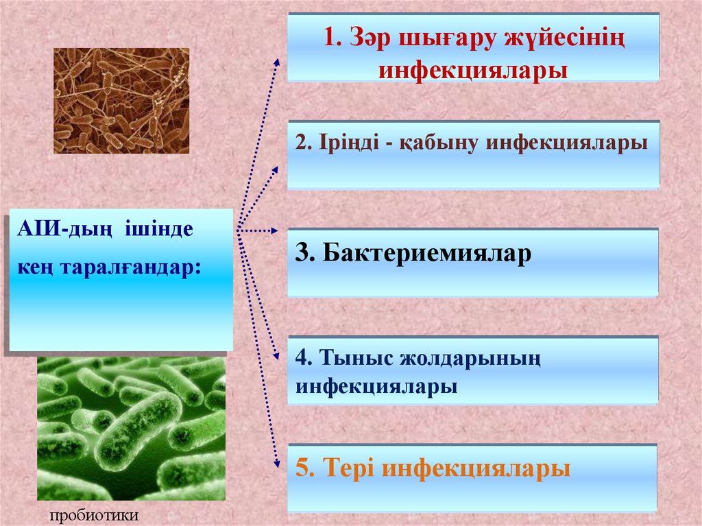 Аурухана ішілік инфекция презентация