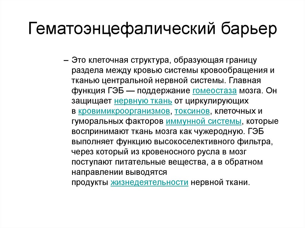 Что значит непроницаемый. Структуры гематоэнцефалического барьера и функции.. Гематоэнуеывлич барьер. Гепоинцифплический барьер. Гематоэнцефаличнский ботер.