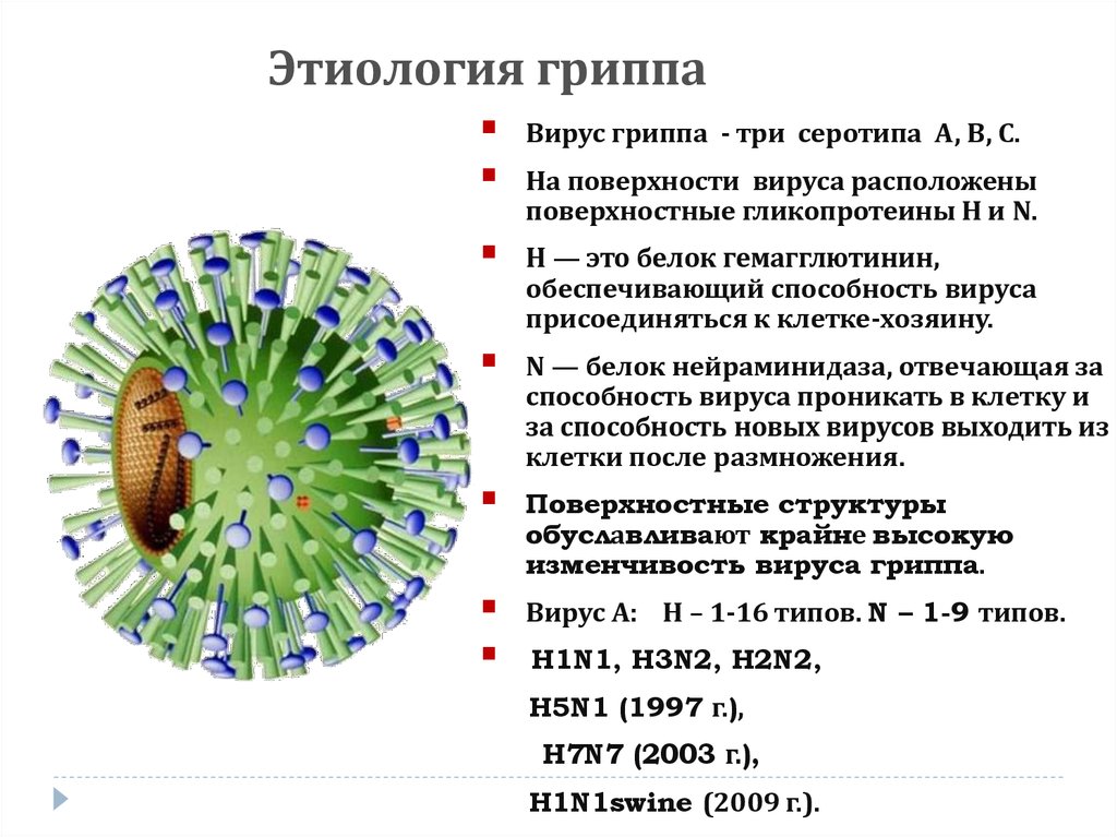 Белки вируса гриппа. Строение вируса гриппа. Вирус гриппа h2 n2. Вирус гриппа строение h3n2. Грипп этиология.
