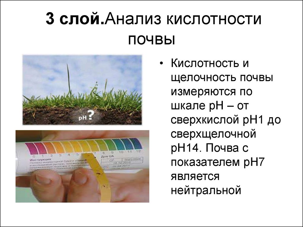 Признаки кислой почвы. Растения показатели кислотности почвы. Растения индикаторы кислотности почвы. Индикатор почвы. Кислотность почвы для растений.