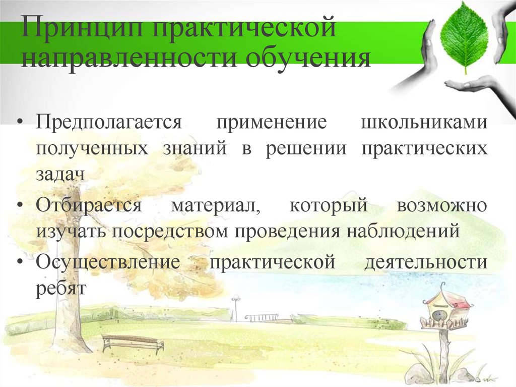 Практическая направления. Принцип практической направленности. Практическая направленность обучения. Принцип направленности обучения. Практическая направленность это.