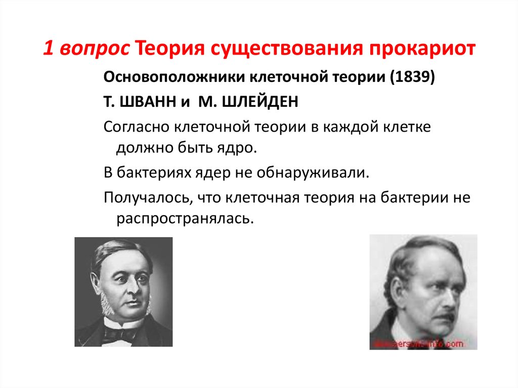 Существует теория. Теория существования прокариот. Создатели современной клеточной теории. Основоположники клеточной теории. Основатели клеточной теории.