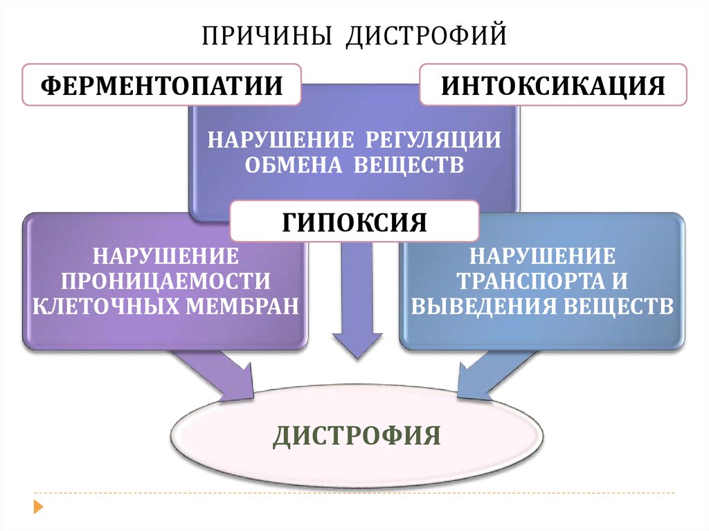 Нарушение обмена веществ дистрофия