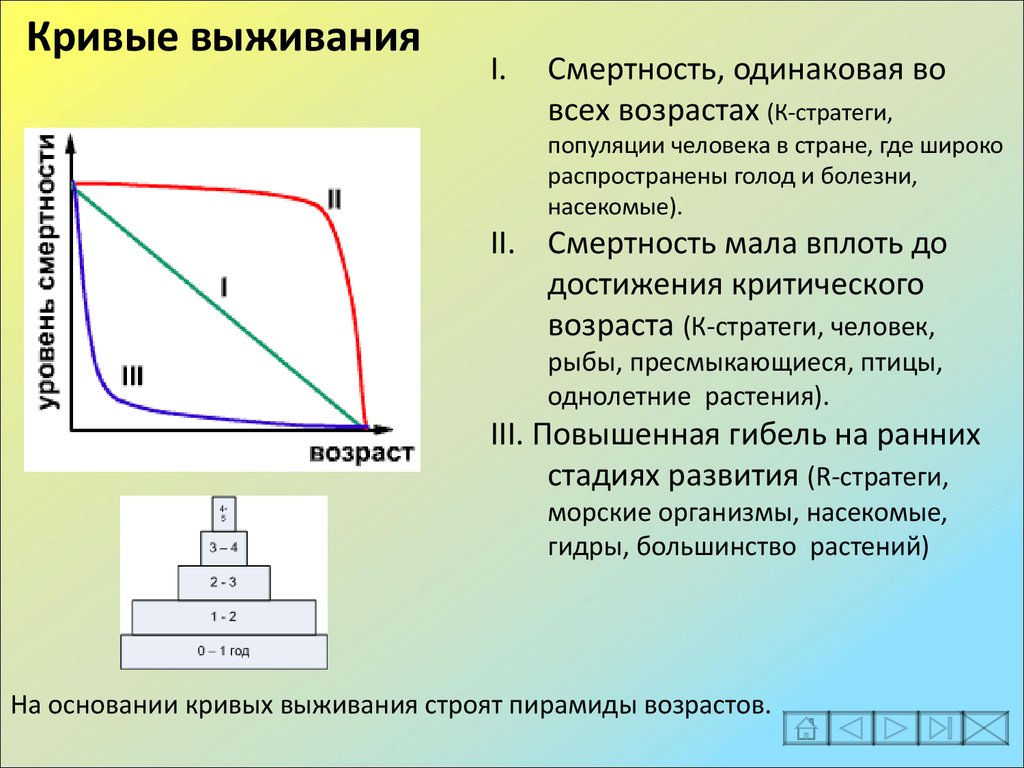 К стратеги. Кривые выживания популяций. Типы Кривой выживания. Кривая выживания человека. Динамика популяций кривые выживания.