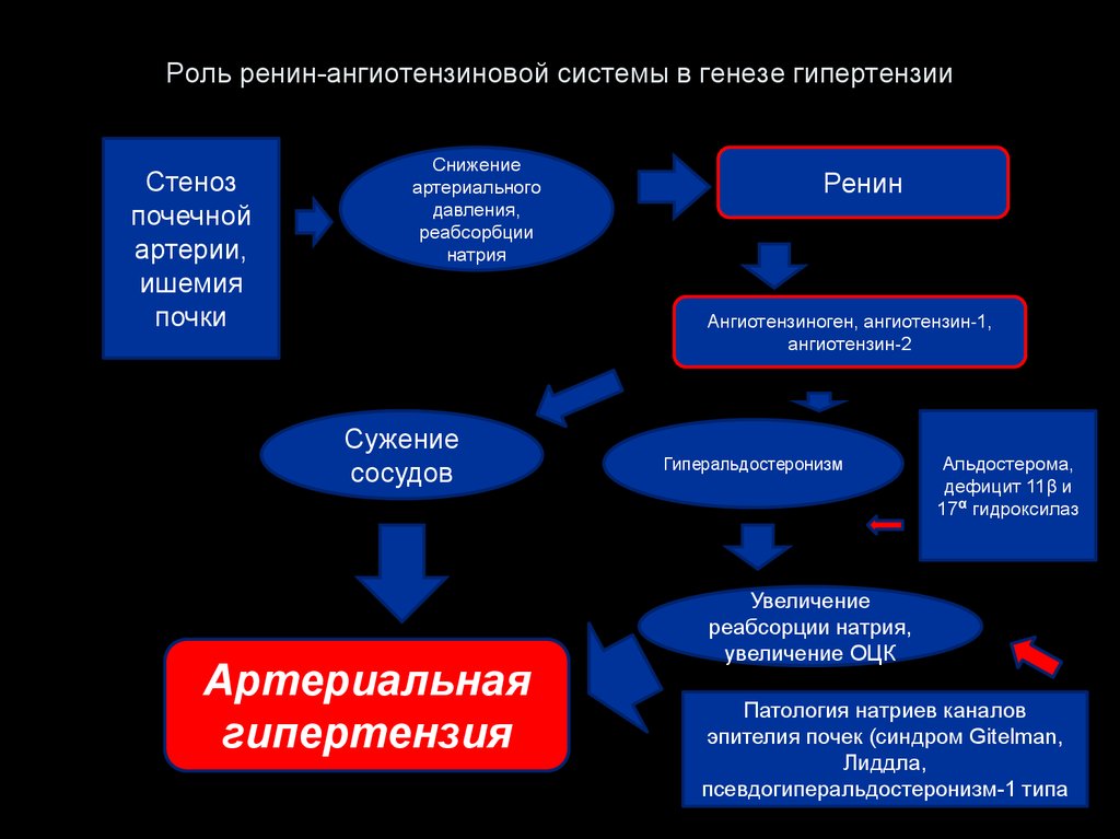 Схема патогенеза артериальной гипертензии с учетом роли ренин ангиотензин альдостероновой системы