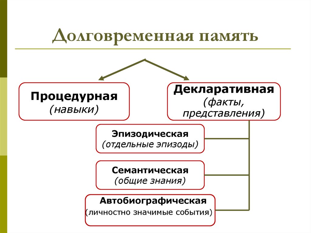 Виды памяти у человека. Процедурная и декларативная память. Схема процедурная и декларативная память.. Структура памяти человека долговременная. Виды долговременной памяти.