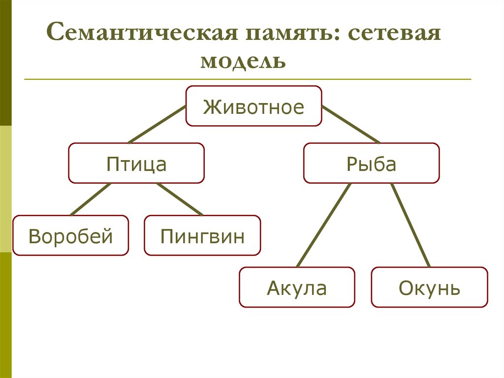 Познавательные процессы память презентация