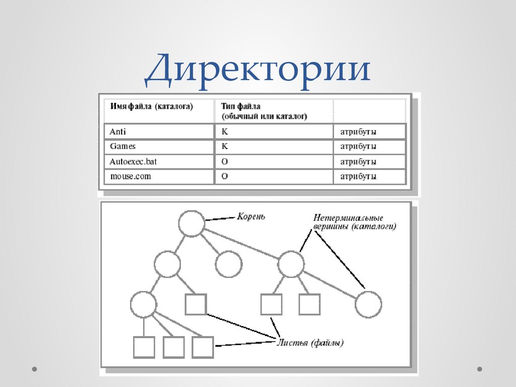 Что такое каталог в информатике