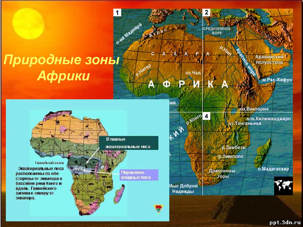 Африка урок 11 класс география. Номенклатуры Африки Африки 7 класс по географии. Природные зоны Африки. Карта природных зон Африки. Природные зоны Африки 7 класс.