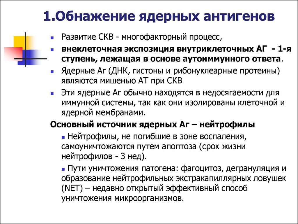 Ядерный антиген ana. Ядерный антиген. Специфический антиген на который развивается иммунный ответ при СКВ. Антиген Смита при СКВ. АГ Смита при СКВ это.