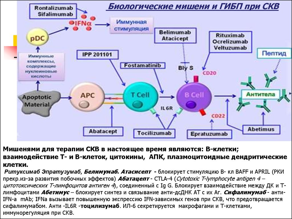 Т с процессом. Мишени цитокинов. Т-В И Т-Т клеточные взаимодействия. СКВ генно инженерные препараты. Ритуксимаб при СКВ.