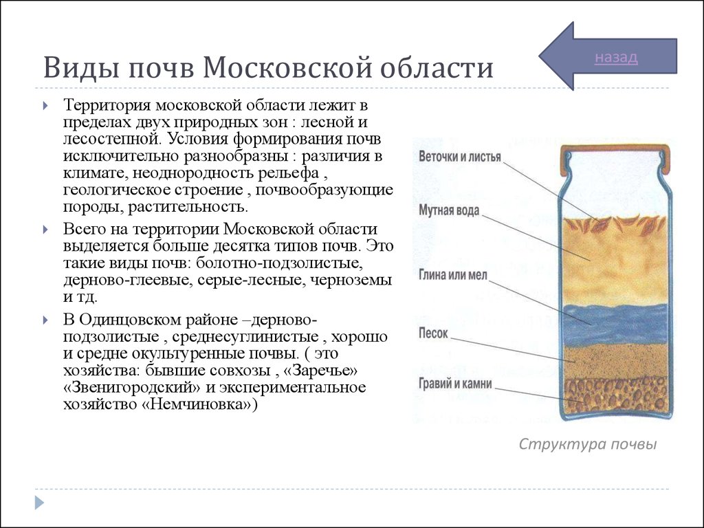 Виды почв. Типы почв Московской области таблица. Почва формируется в пределах зоны. Состав почвы виды. Тип почвы в Подмосковье.