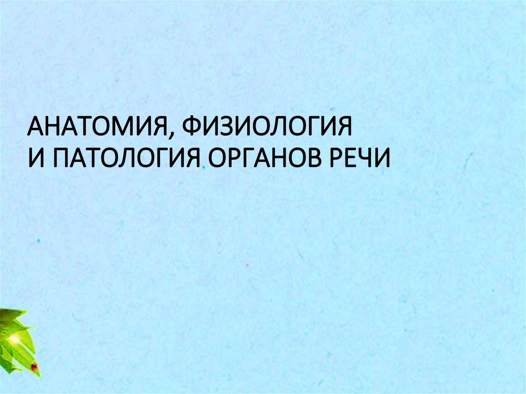 Анатомия физиология и патология органов речи