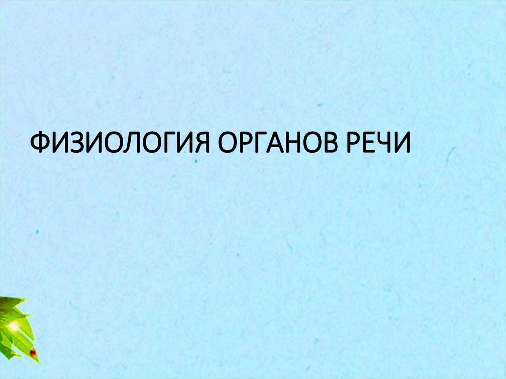 Физиология органов речи презентация