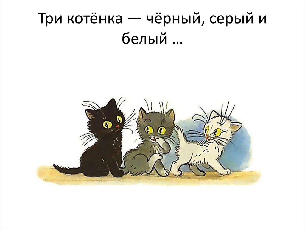 3 кота и черный кот