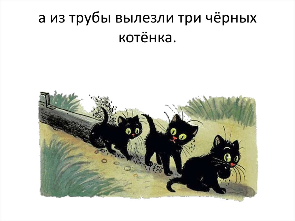 Урок чтения котята. Сутеев 3 котенка. Сутеев в. "три котенка". Три котенка сказка Сутеев. Иллюстрации к сказке Сутеева три котенка.