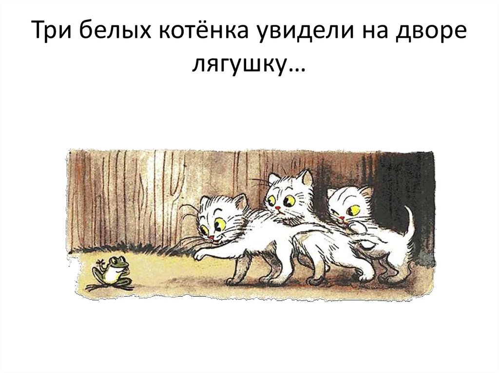 Три котенка слова. Сутеев 3 котенка. Сказки Сутеева три котенка. Иллюстрации к сказке Сутеева три котенка. Три белых котенка.