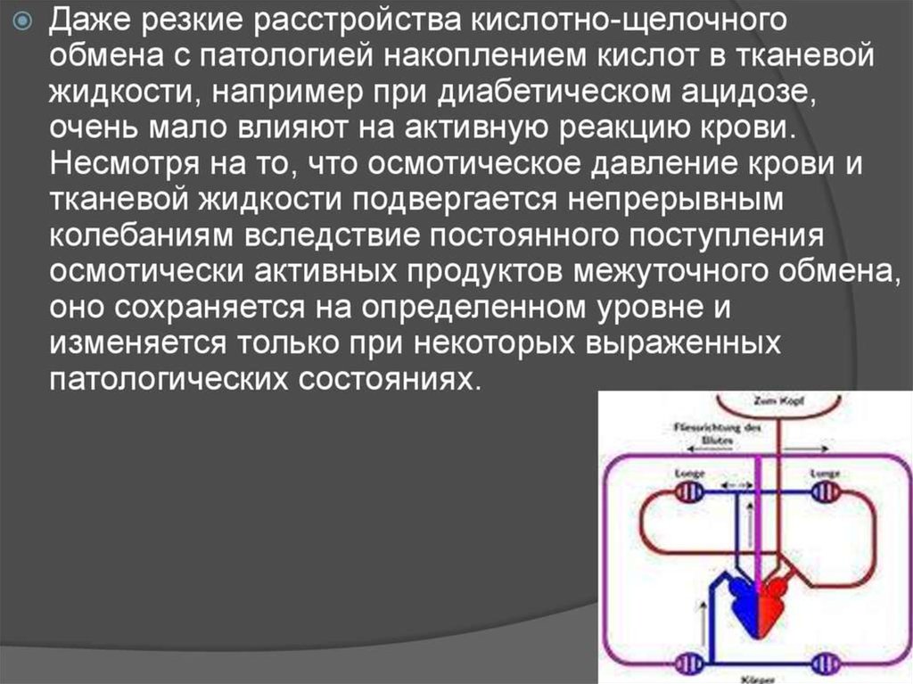 Гомеостаз және қан айналым жүйесі - презентация онлайн