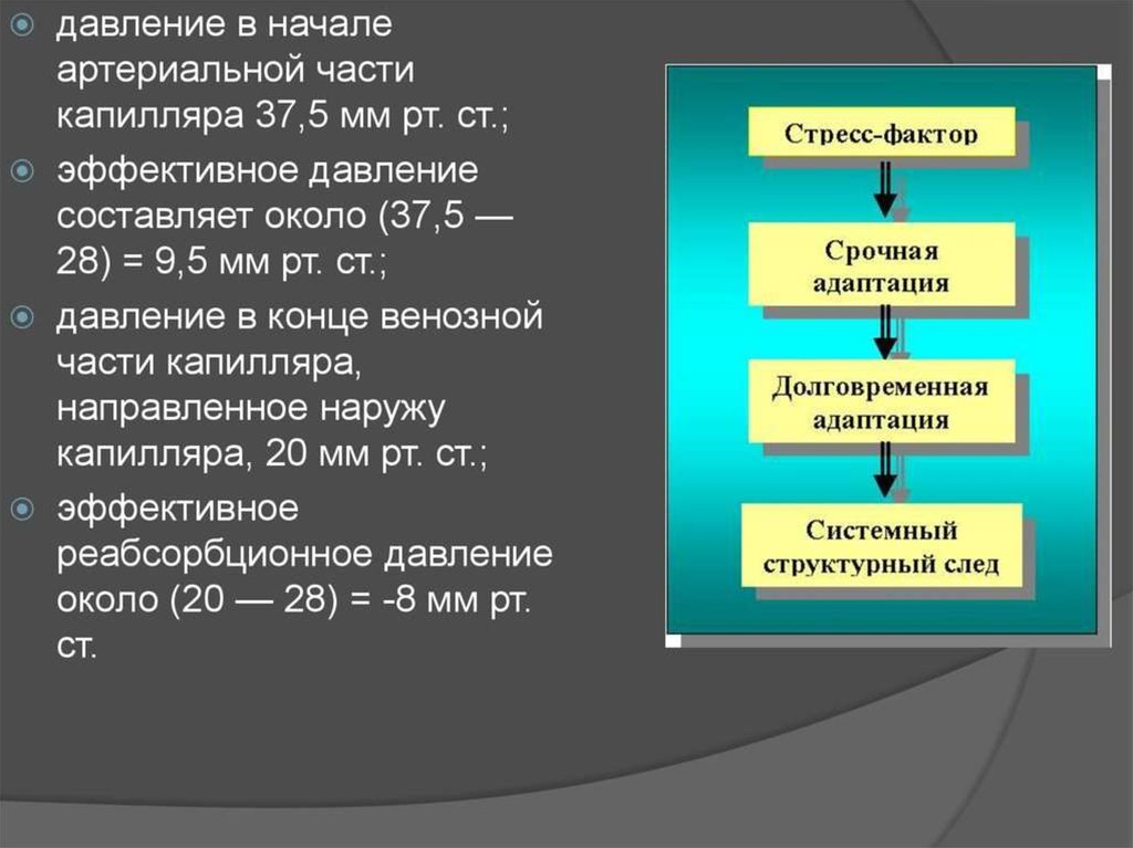 Составляет около. Эффективное давление. Эффективное реабсорбционное давление это. Реабсорбционное давление в капиллярах это. Редуцированное давление составляет.