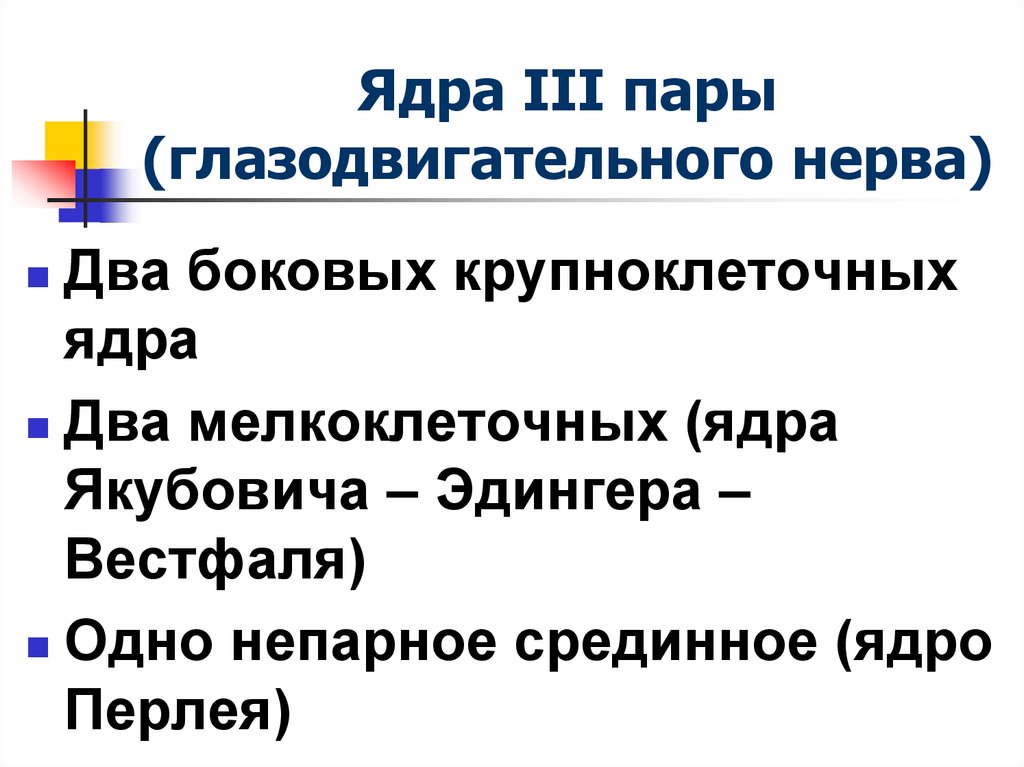 Третья пара черепных нервов. Ядро Якубовича. Мелкоклеточное ядро глазодвигательного нерва. Ядро Вестфаля. Ядро Якубовича глазодвигательного нерва.