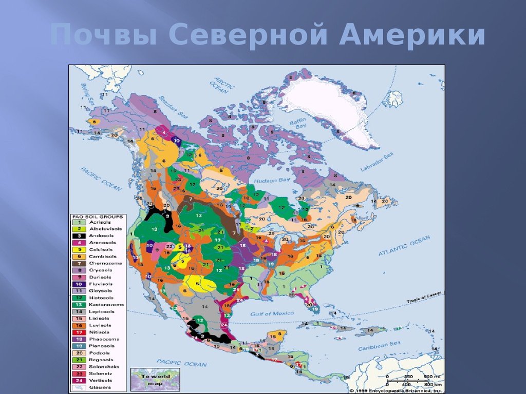 Большую часть северной америки занимает природная зона. Почвенная карта Северной Америки. Карта почв Северной Америки. Карта почв Канады. Типы почв Северной Америки.