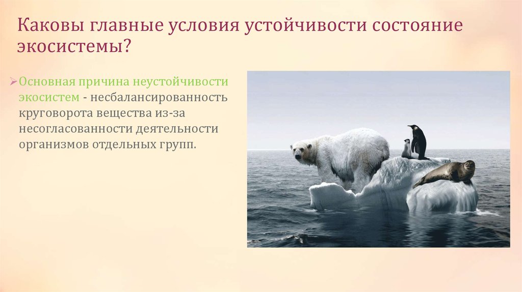 Презентация причины устойчивости и смены экосистем 9 класс биология