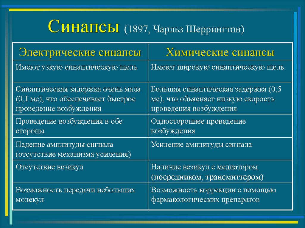 Свойства синапсов. Функции синапса. Функции химического синапса. Функции электрических синапсов. Сравнительная характеристика электрического и химического синапса.