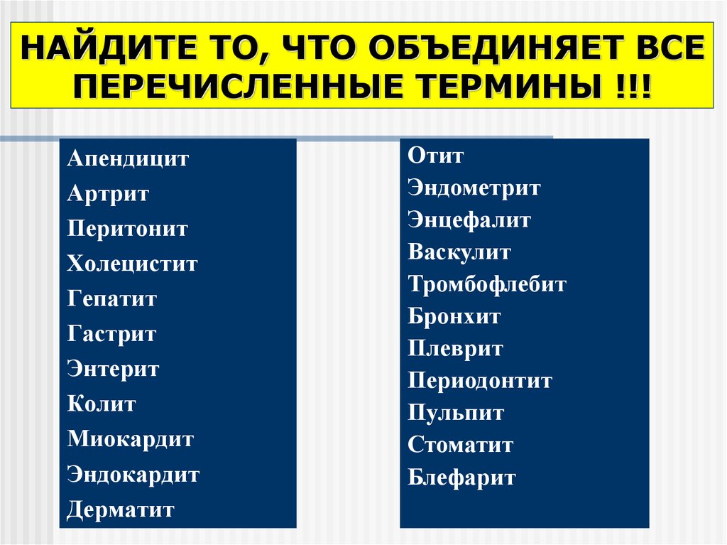 Все перечисленные термины