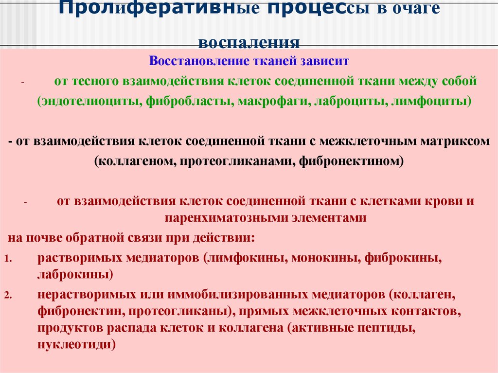 Пролиферативный. Процесс пролиферации. Пролиферативные процессы это. Восстановительные процессы в очаге воспаления. Пролиферативные процессы при воспалении.