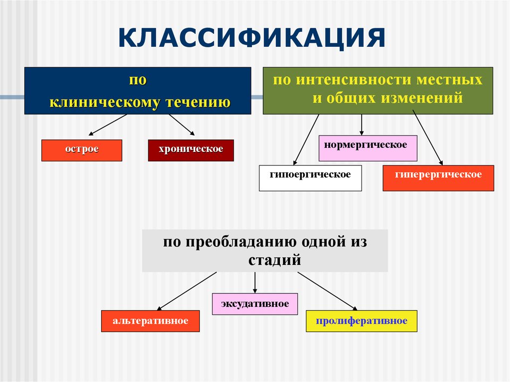 КЛАССИФИКАЦИЯ