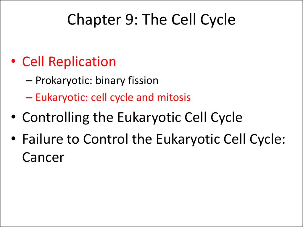 Chapter 9: The Cell Cycle
