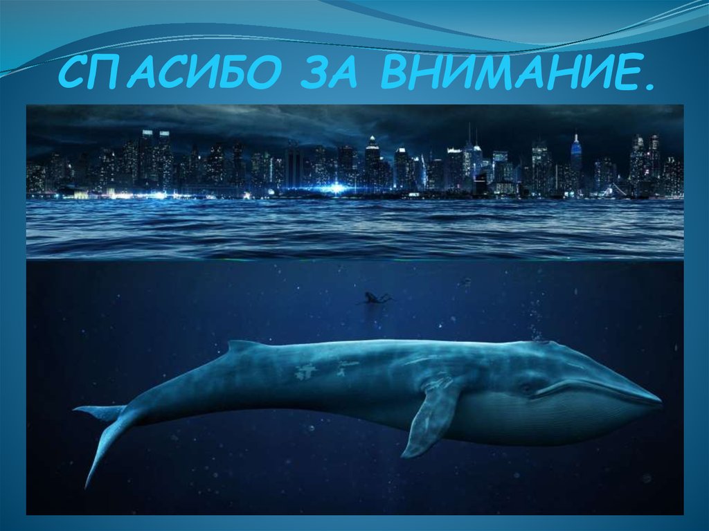 СПАСИБО ЗА ВНИМАНИЕ.