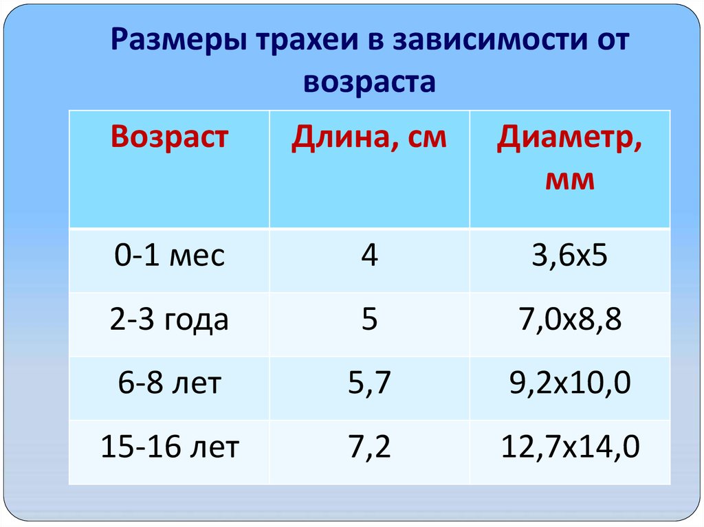 Длина по возрасту. Размер трахеи взрослого диаметр. Размеры трахеи по возрасту. Диаметр трахеи у детей по возрасту таблица. Ширина трахеи в норме.