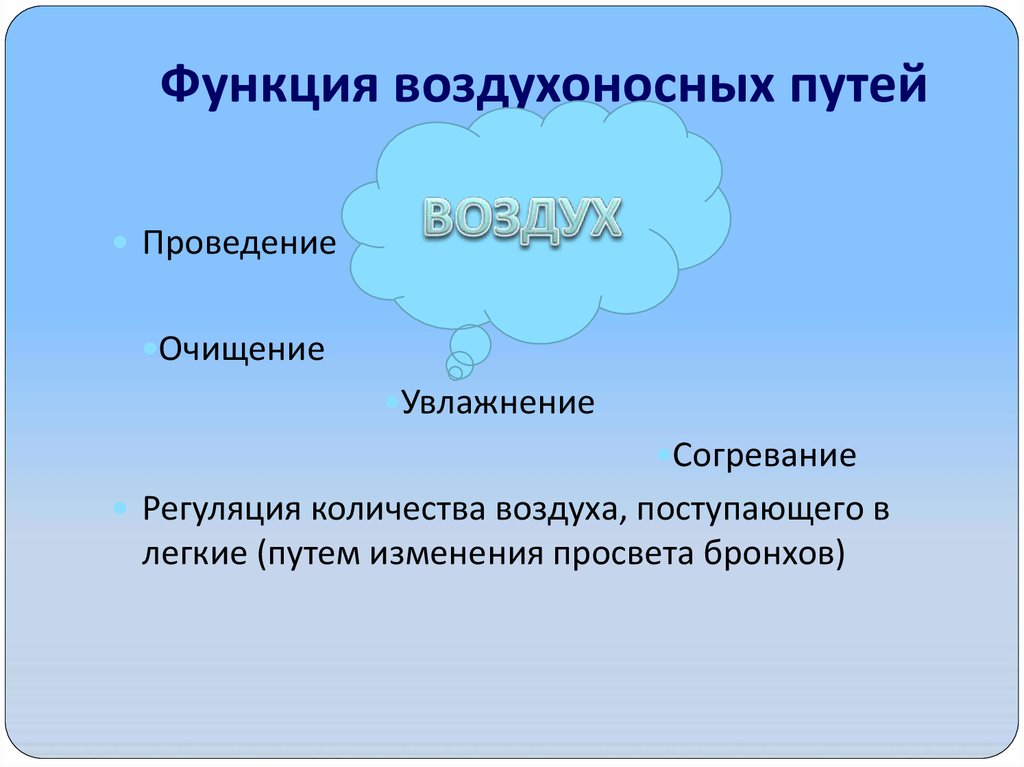 Функции воздуха. Функции воздухоносных путей. Функция воздухоносных путей очищение. Функции воздухоносных путей физиология.