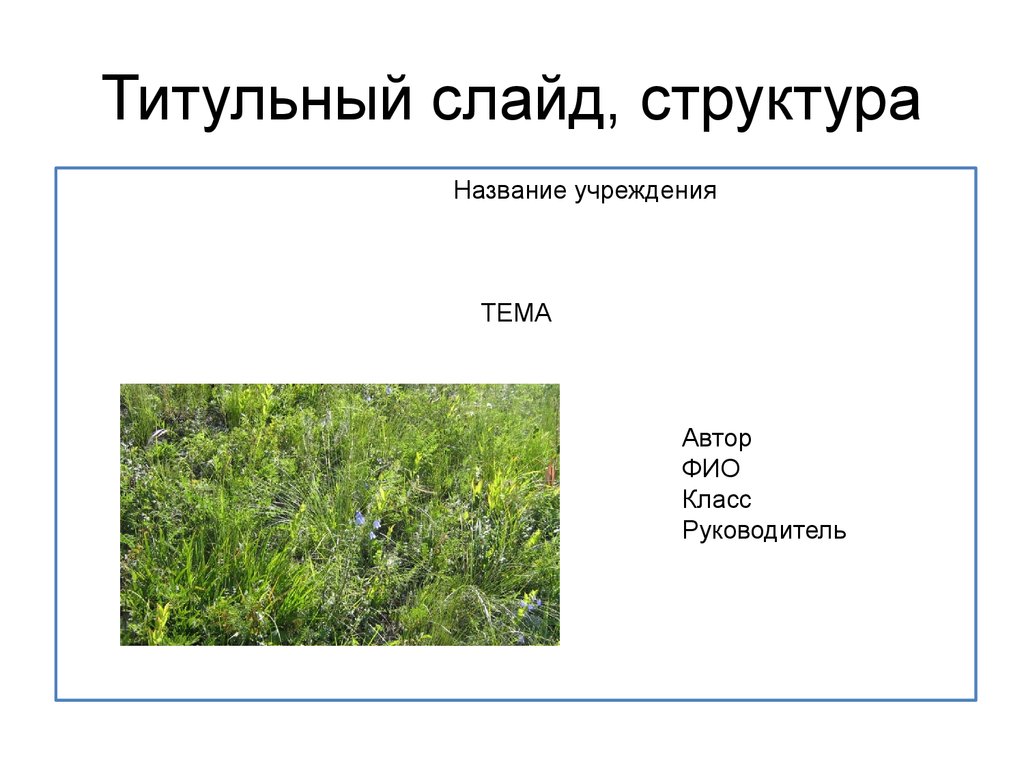 Титульный слайд. Титульный слайд презентации. Как выглядит титульный слайд. Как выглядит титульный слайд презентации. Заглавный слайд презентации.