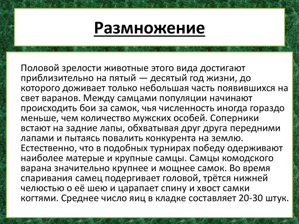 Физиологическая зрелость это. Половая зрелость животных. Физиологическая зрелость животных. Сроки полового созревания у разных видов животных.