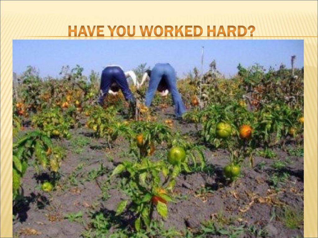 Have you worked hard?