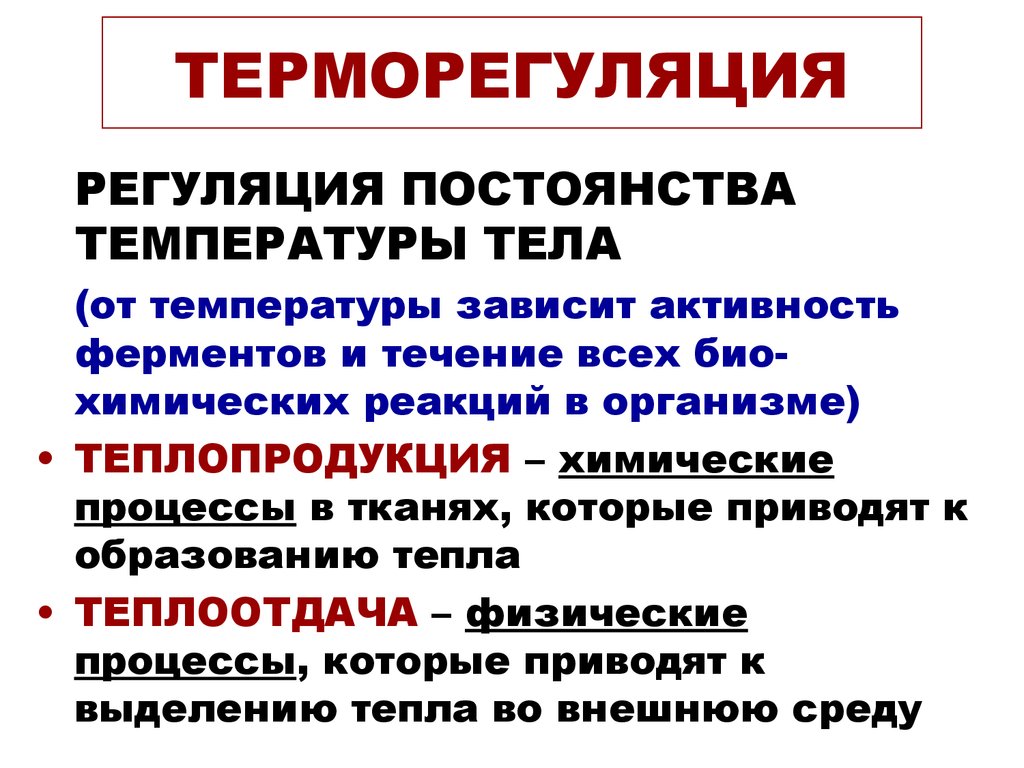 Как поддерживается терморегуляция. Механизмы регуляции процессов теплопродукции и теплоотдачи. Терморегуляция организма человека. Терморегуляция теплоотдача. Теплопродукция и теплоотдача.