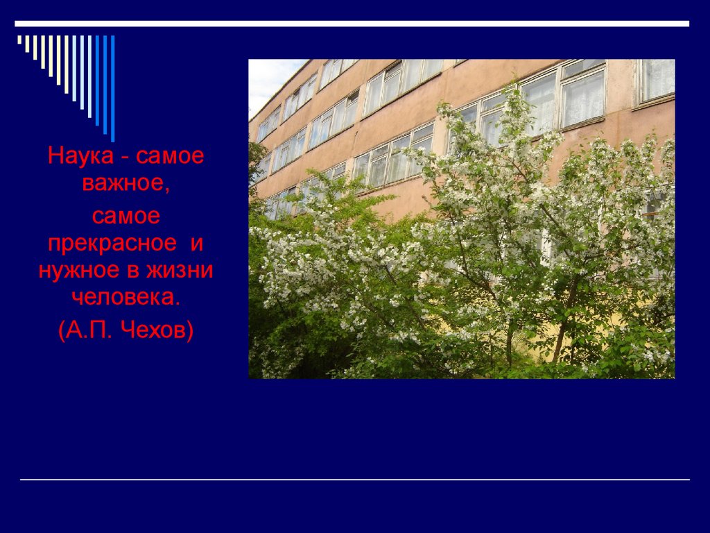 Наука самое важное самое прекрасное. Чехов наука самое важное. Наука — самое важное, самое прекрасное и нужное. Чехов о науке.