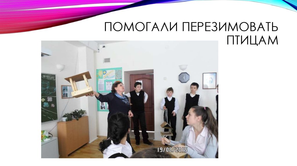 Помогали перезимовать птицам