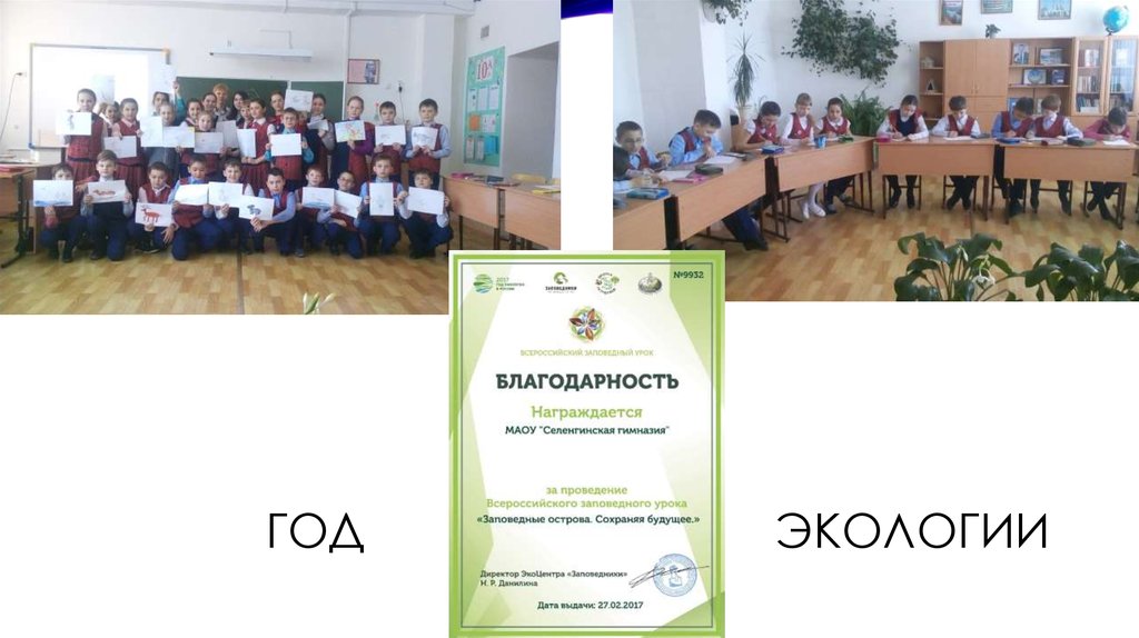 Год Экологии