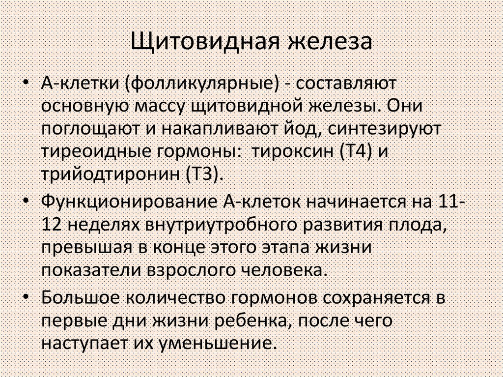 Анатомо физиологические особенности щитовидной железы у детей презентация