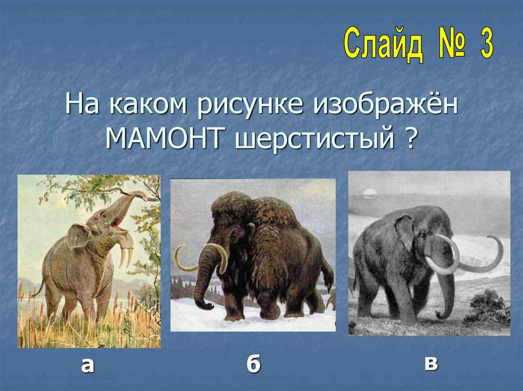 О каком периоде идет речь. Ледниковый период презентация. Какой период изображен на картинке. Отметь на какой картинке изображен мамонт Дима.