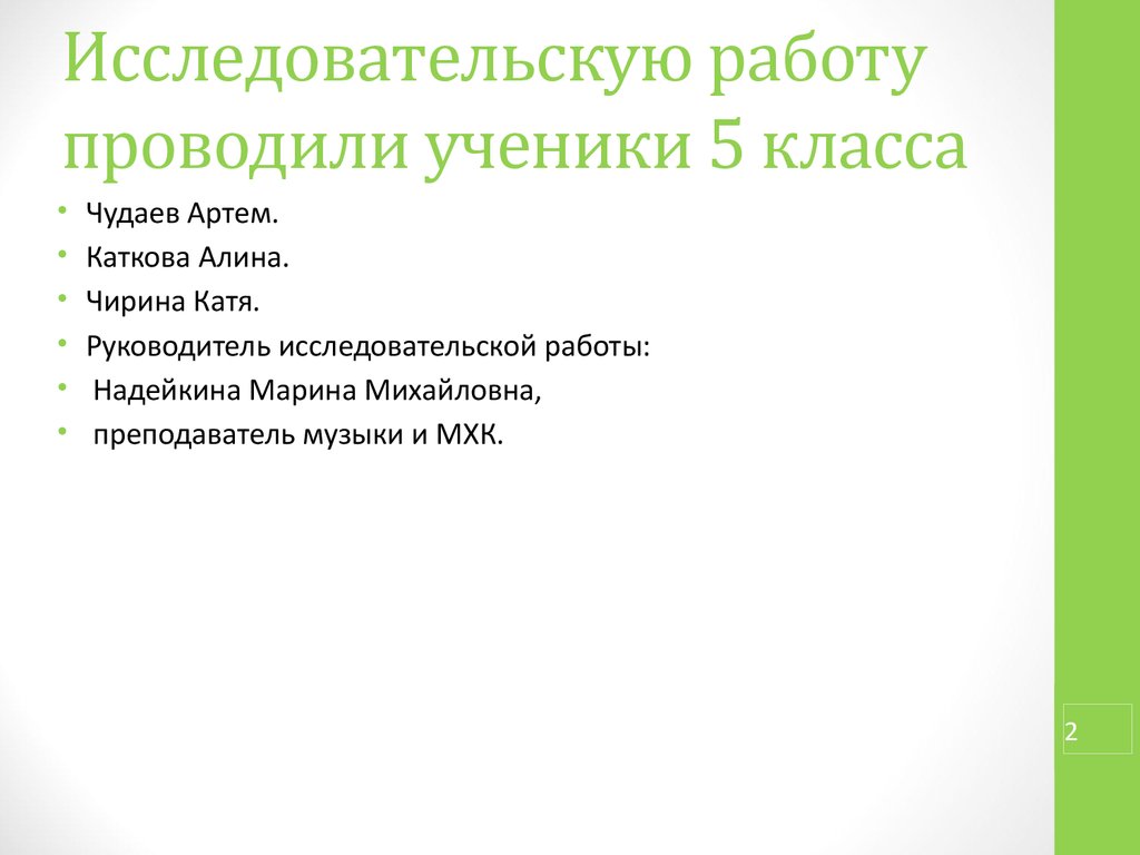 Руководитель исследовательского проекта