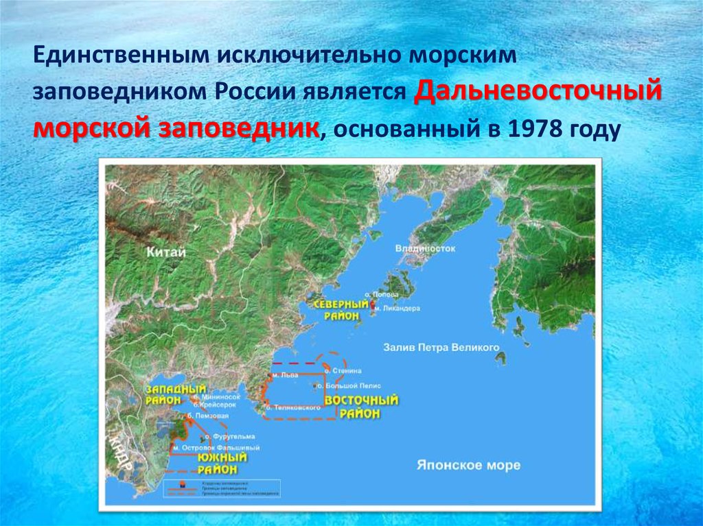 Дальневосточный морской заповедник кратко