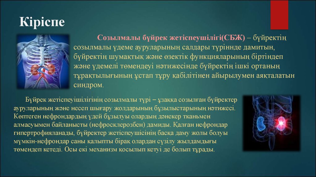 Бүйрек жетіспеушілігі презентация